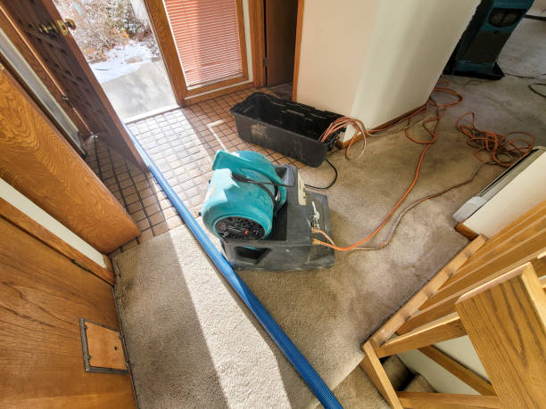 Trusted Water Damage Restoration in Glendale Heights, IL | Fast, Reliable, and Ready to Assist You